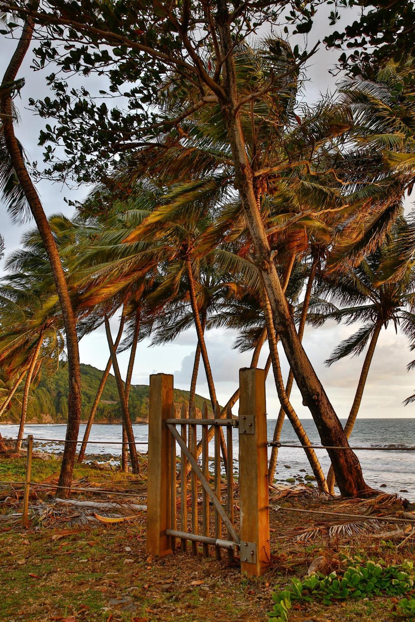 Maison D'O Baie De Saint-Jacques, Sur Une Plage Sauvage Villa Sainte-Marie Kültér fotó